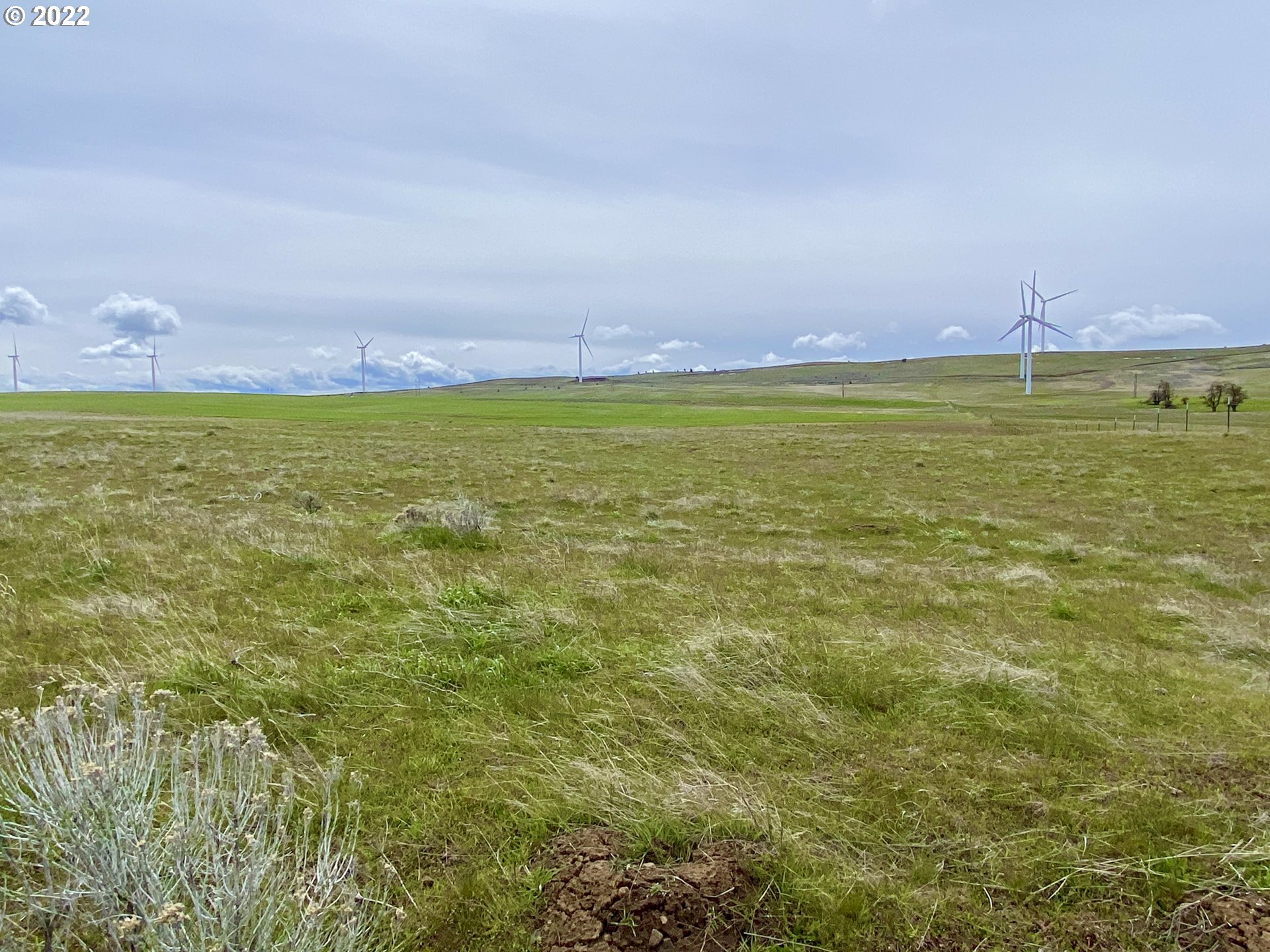 923 Hoctor Road Goldendale, WA 98620 - Photo 7 of 11 Gallery Image 7
