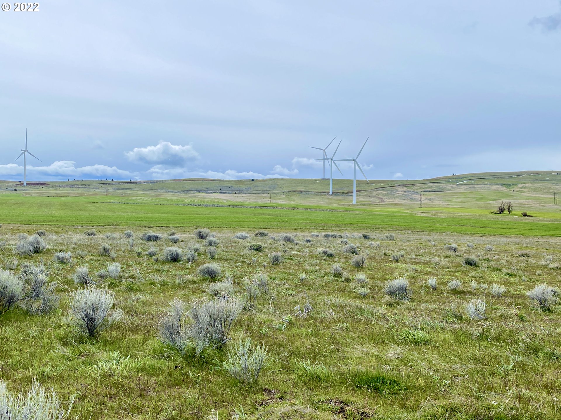 923 Hoctor Road Goldendale, WA 98620 - Photo 8 of 11 Gallery Image 8