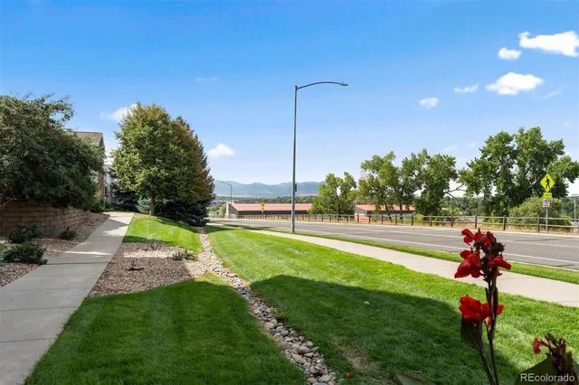 a childrens park with lots of trees and plants