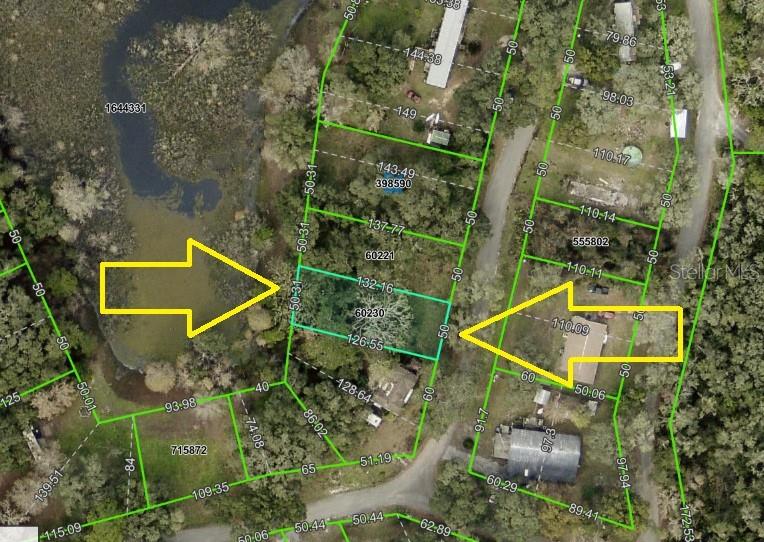 3221 Dublin Road Dade City, FL 33523 - Photo 4 of 12