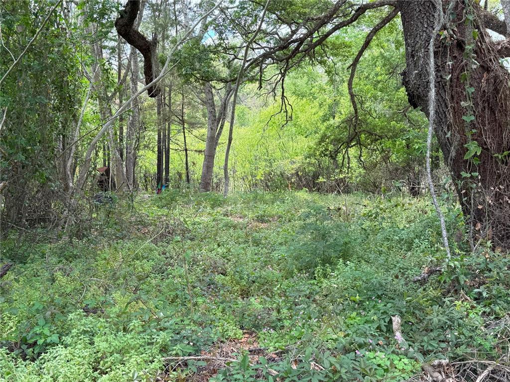 3221 Dublin Road Dade City, FL 33523 - Photo 5 of 12