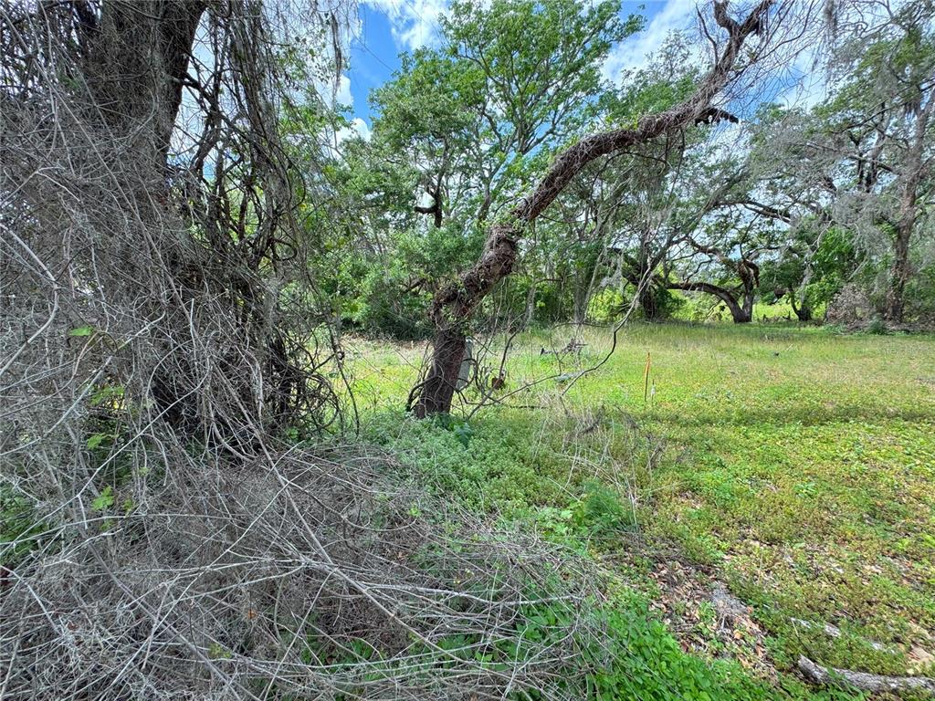 3221 Dublin Road Dade City, FL 33523 - Photo 7 of 12