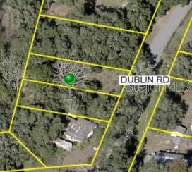 3221 Dublin Road Dade City, FL 33523 - Photo 9 of 12