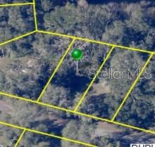 3221 Dublin Road Dade City, FL 33523 - Photo 10 of 12