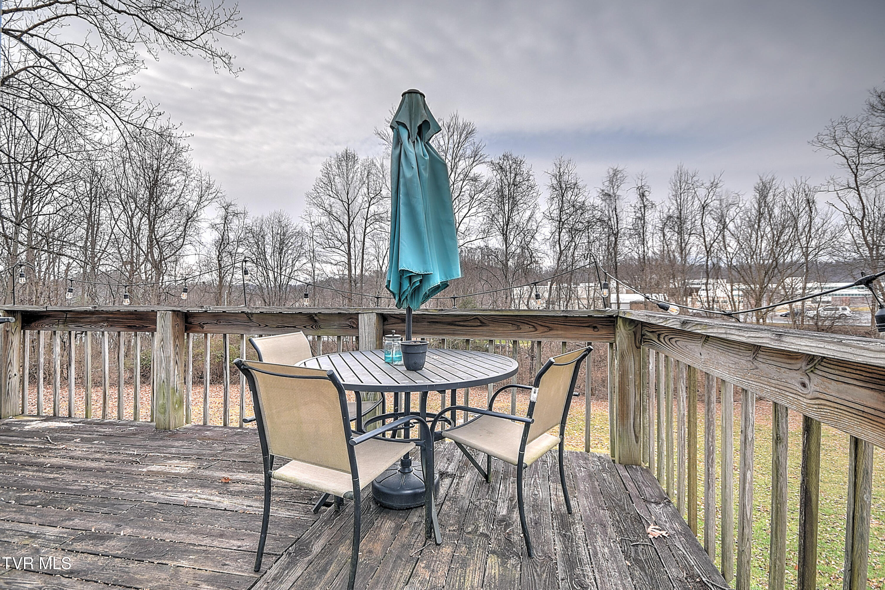 788 Meadow View Road Bristol, TN 37620 - Photo 30 of 39 788 Meadow View MG-30