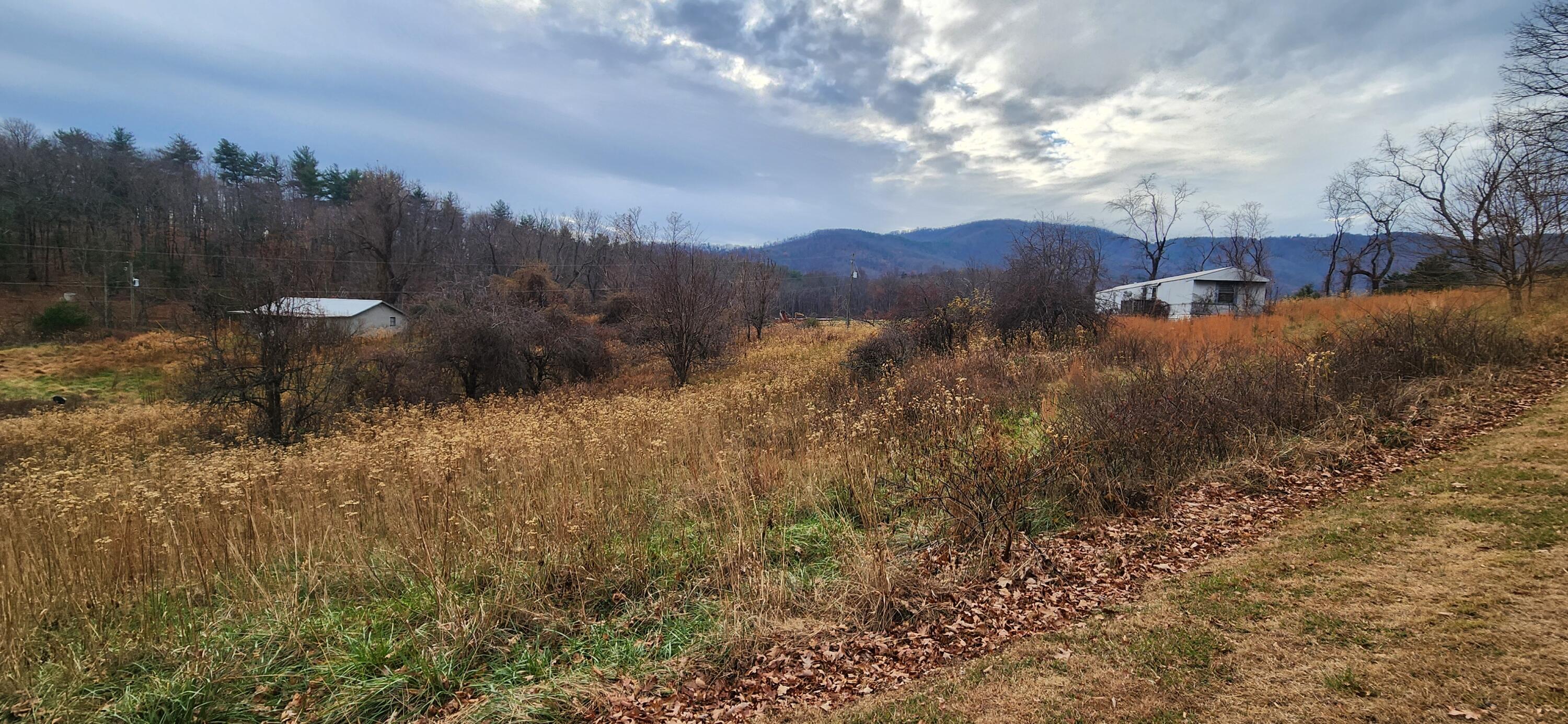 10401 Callaway Road Callaway, VA 24067 - Photo 13 of 14 a view of a yard in front of the house