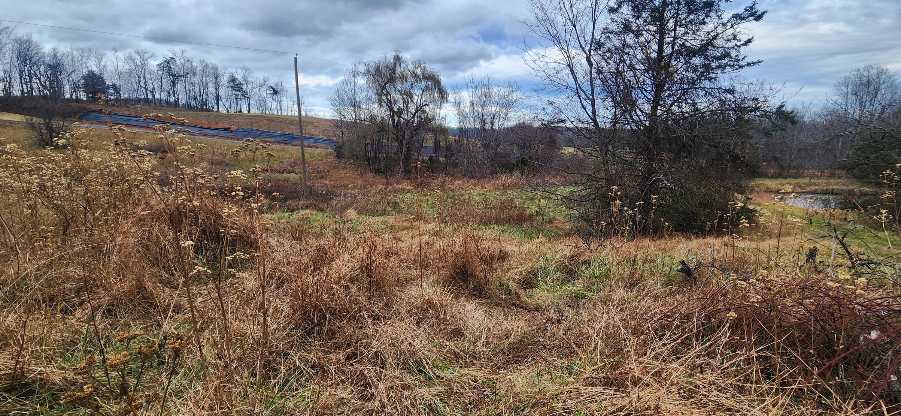 10401 Callaway Road Callaway, VA 24067 - Photo 4 of 14 a view of a yard with wooden fence