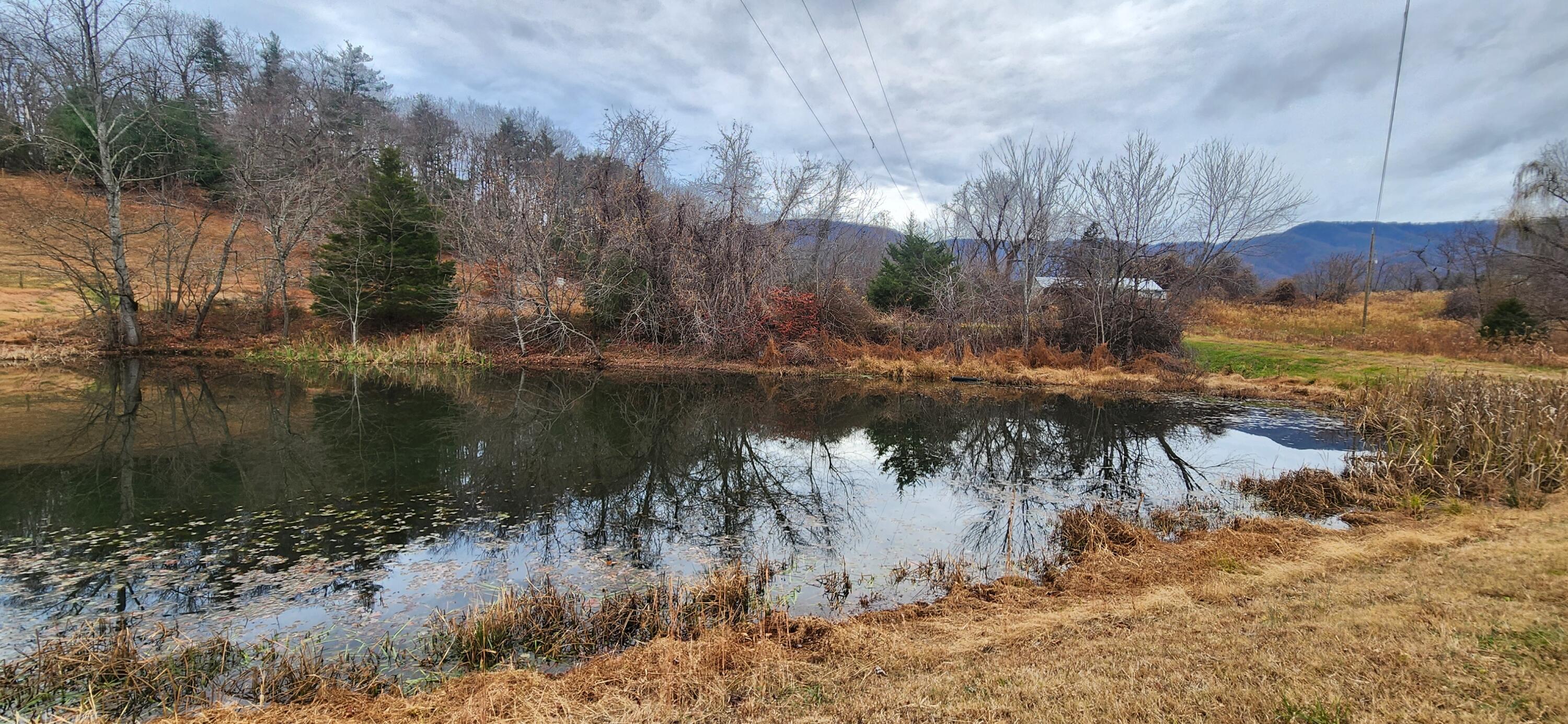 10401 Callaway Road Callaway, VA 24067 - Photo 7 of 14 a view of a lake in between two of trees