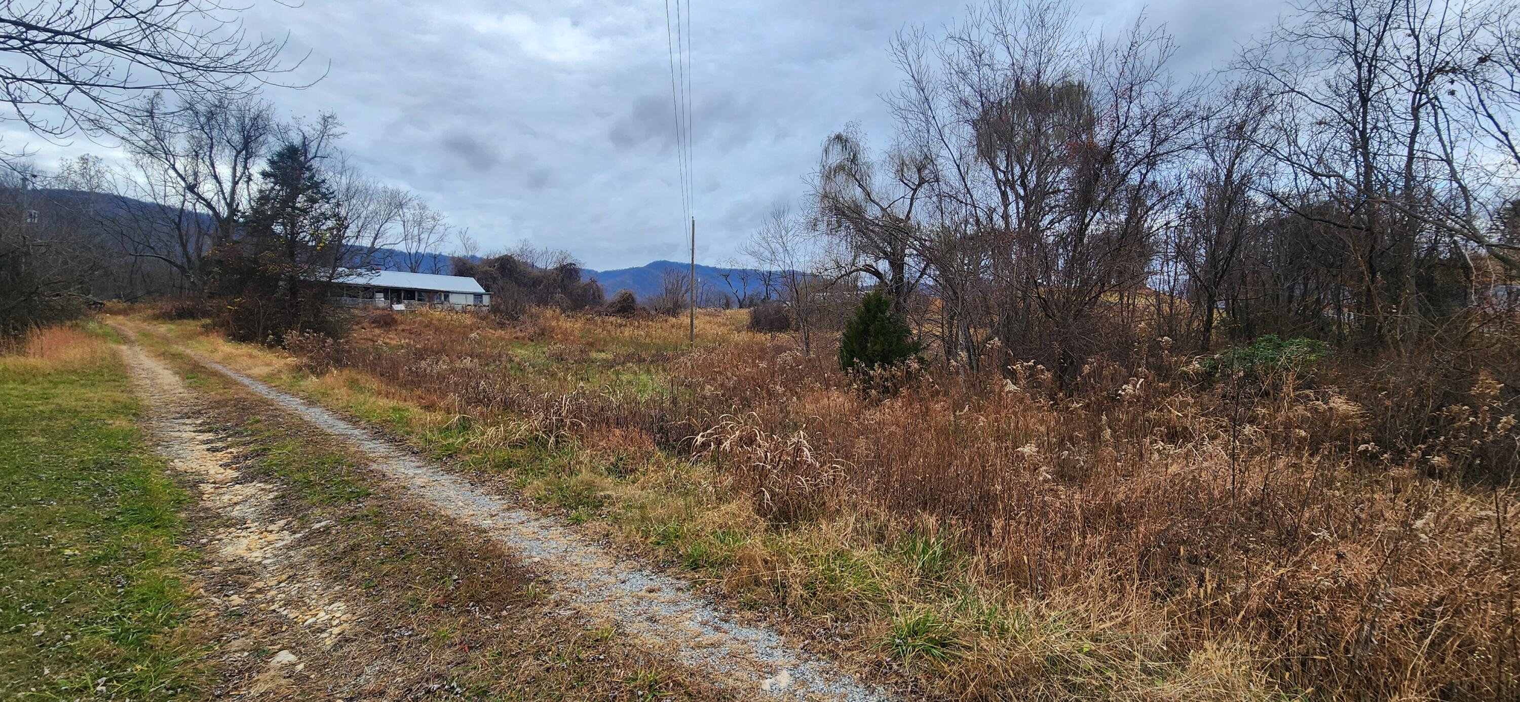 10401 Callaway Road Callaway, VA 24067 - Photo 8 of 14 a view of a yard