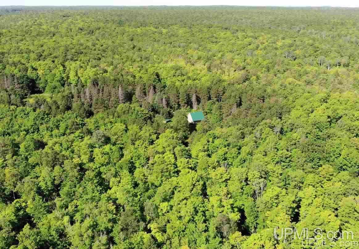 21660 Newberry Road Pelkie, MI 49958 - Photo 10 of 40