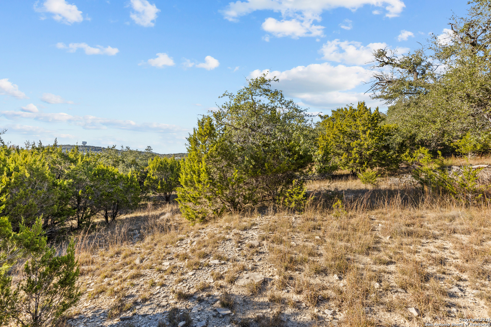 250 Misty Brook Spring Branch, TX 78070 - Photo 42 of 47