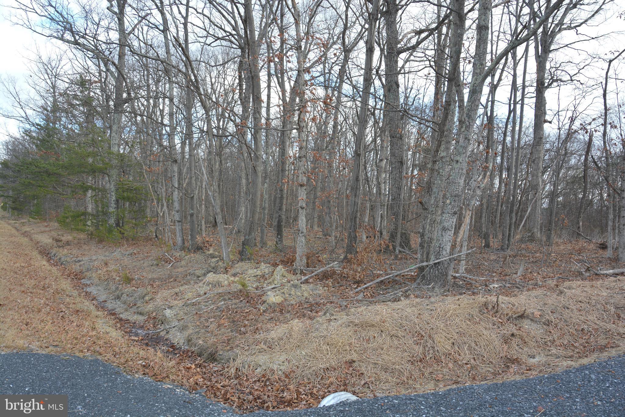 South Timber Ridge Road Cross Junction, VA 22625 - Photo 3 of 6 Nicely wooded Lot