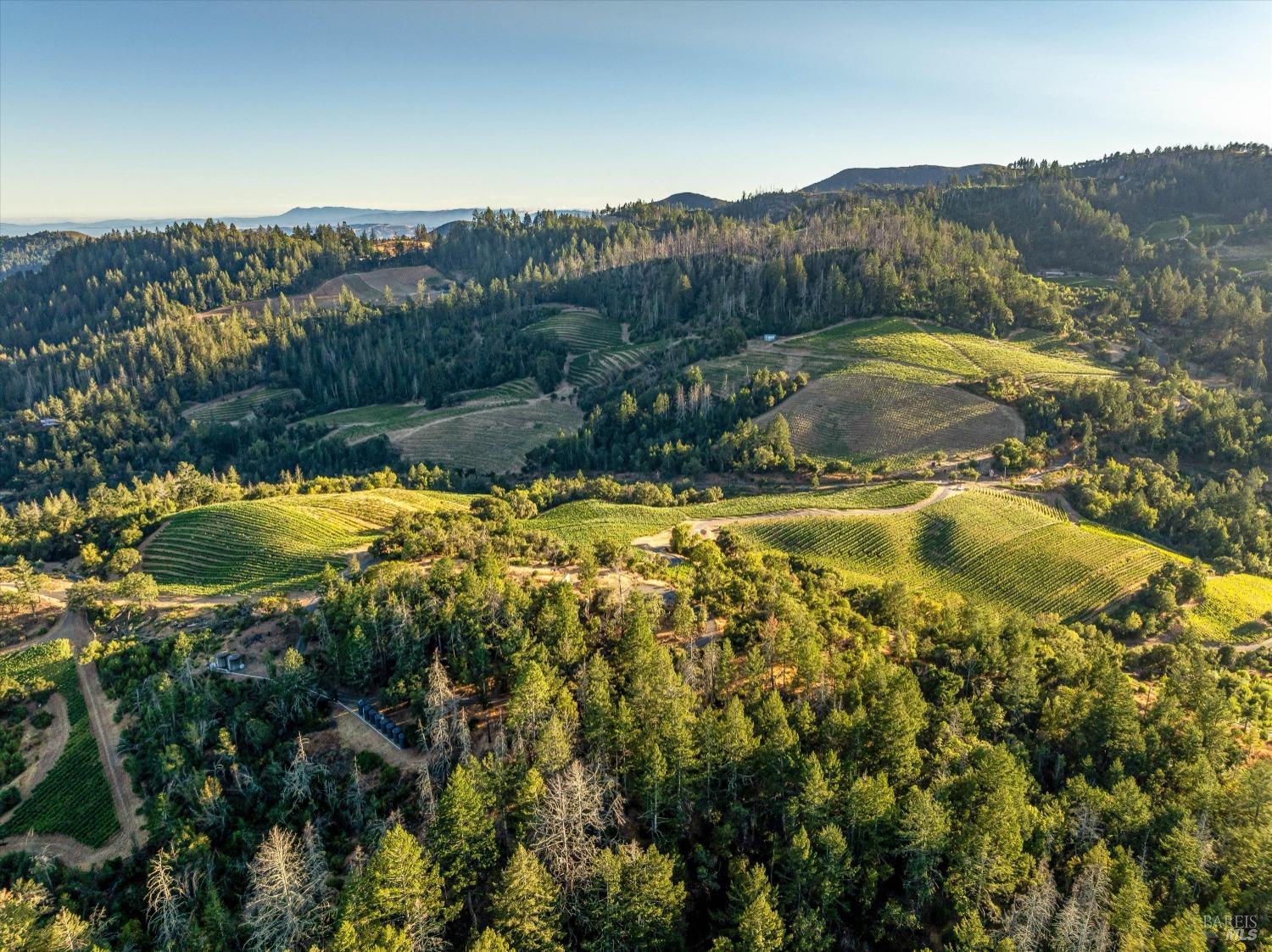 2340 Mt Veeder Road Napa, CA 94558 - Photo 2 of 38