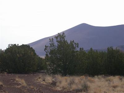 43048 Alpine Ranch Flagstaff, AZ 86004 - Photo 3 of 4 Additional Photo
