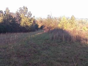 0 Olden Porter Road Pendleton, SC 29670 - Photo 5 of 8
