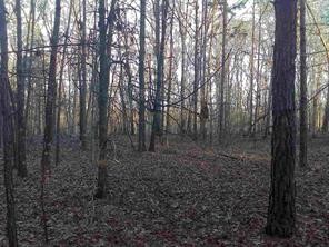 0 Olden Porter Road Pendleton, SC 29670 - Photo 8 of 8