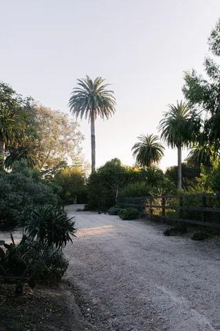 a living room with couch and rug