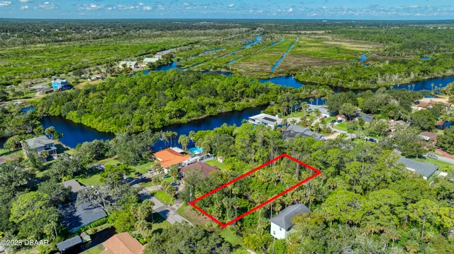 a view of a yard with plants