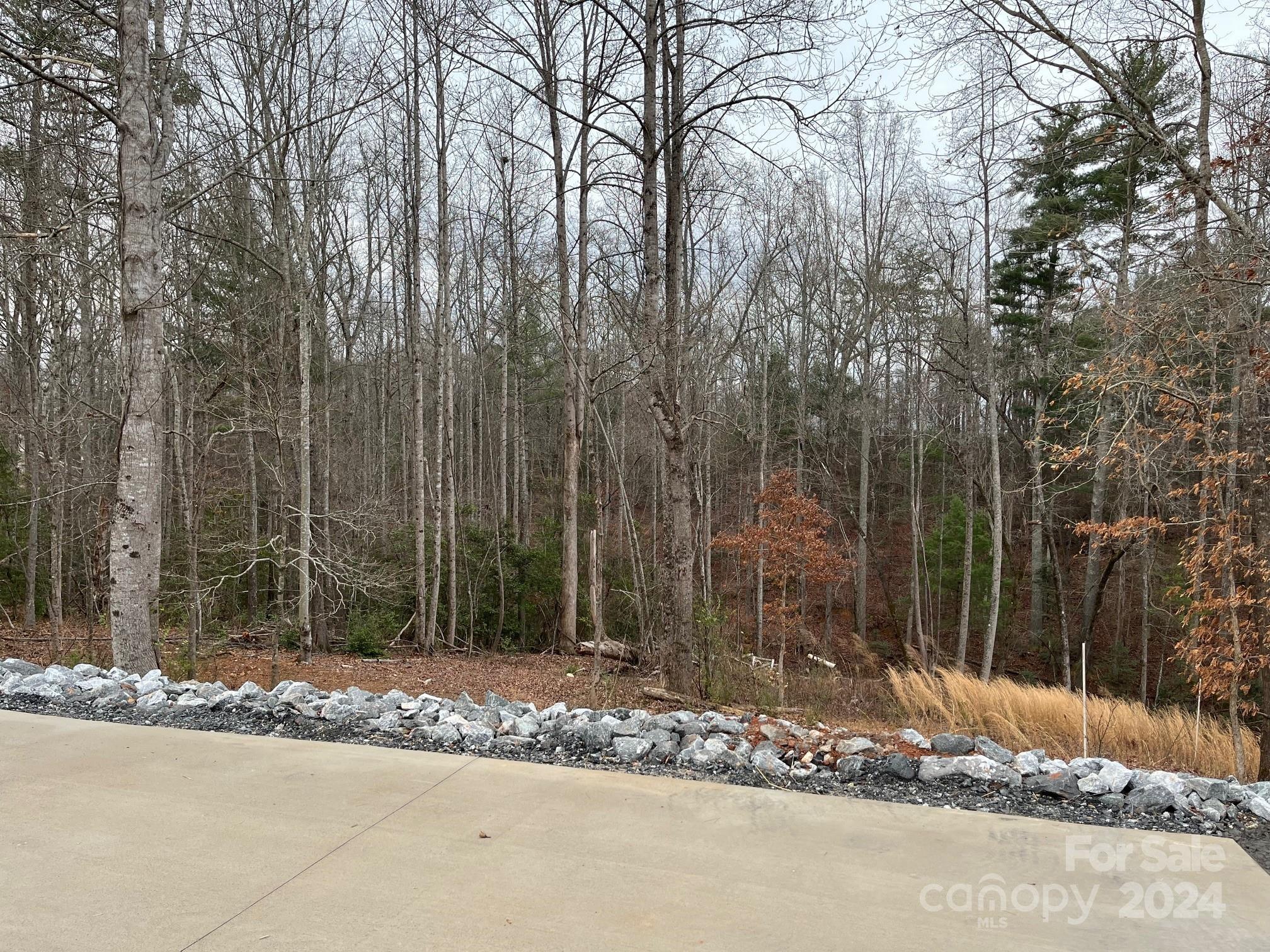 1125 Bethlehem School Road Hickory, NC 28601 - Photo 35 of 39