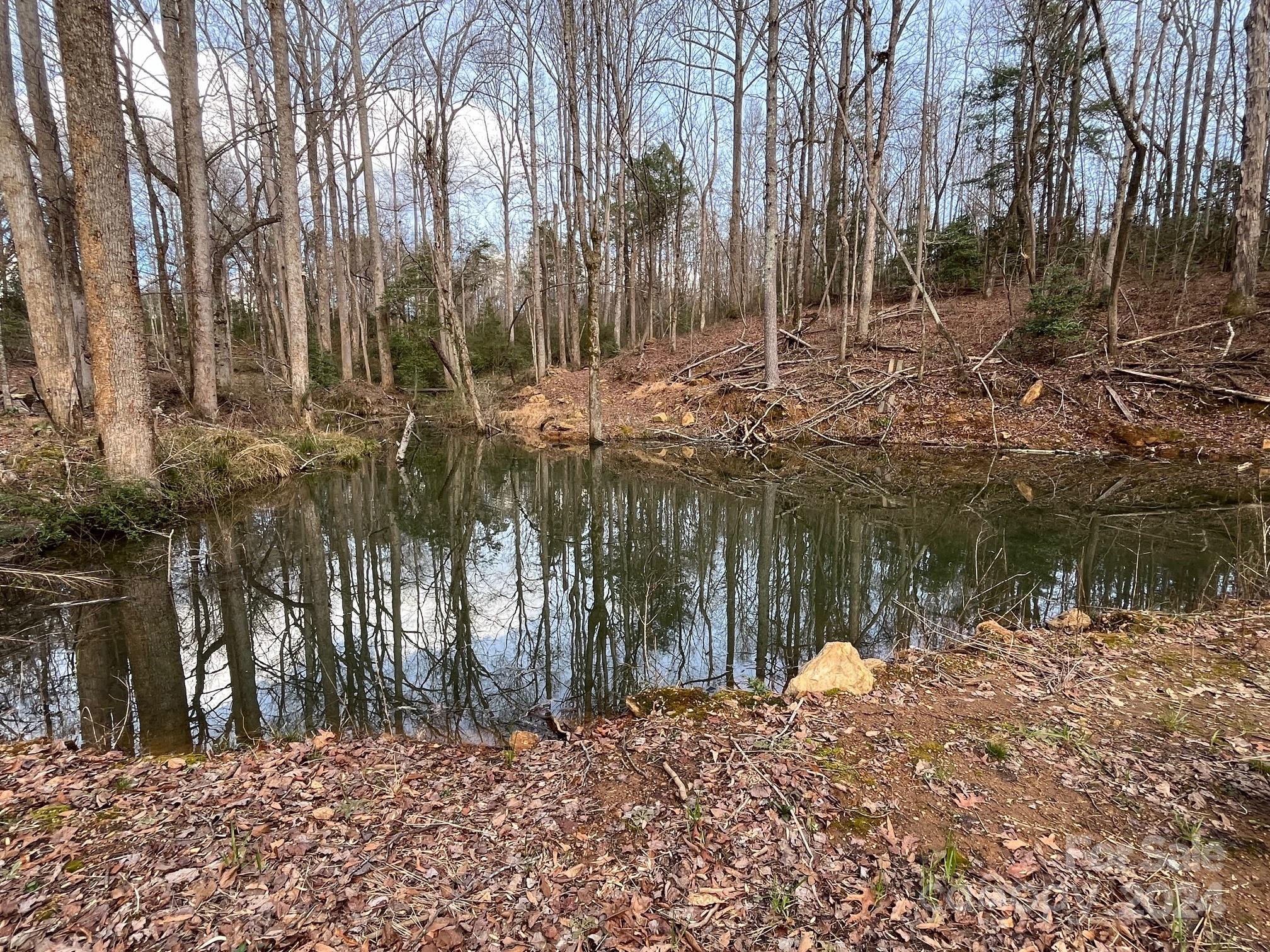 1125 Bethlehem School Road Hickory, NC 28601 - Photo 39 of 39