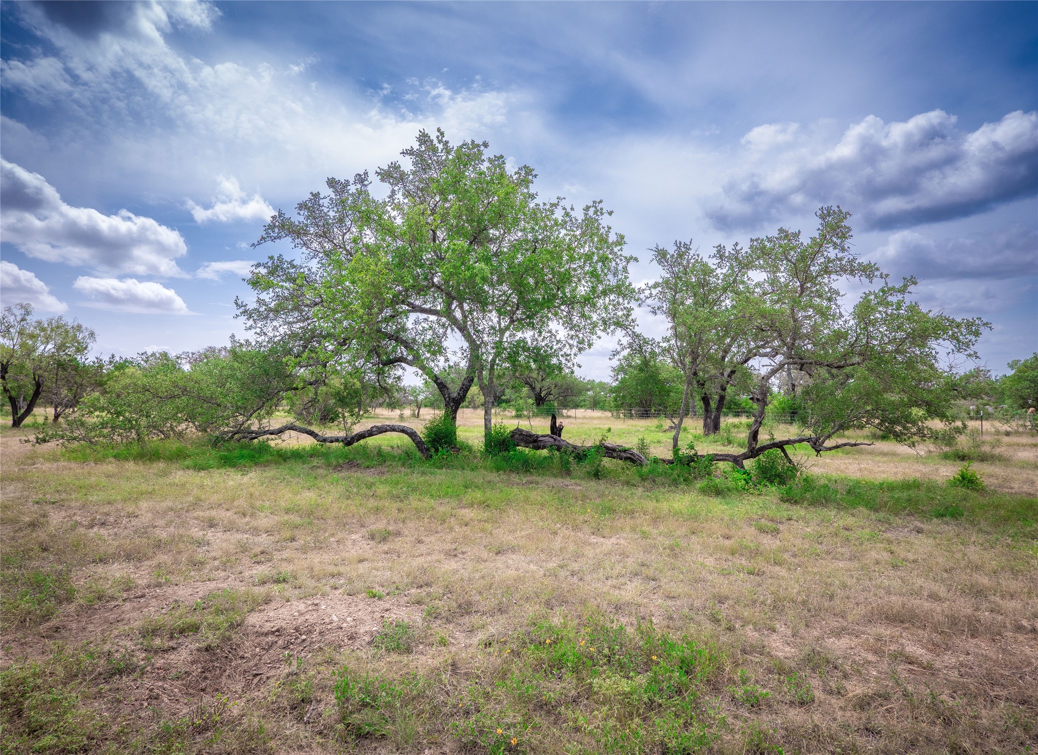 Tbd Winnie Smith Road Round Mountain, TX 78663 - Photo 12 of 30 a view of a park with large trees