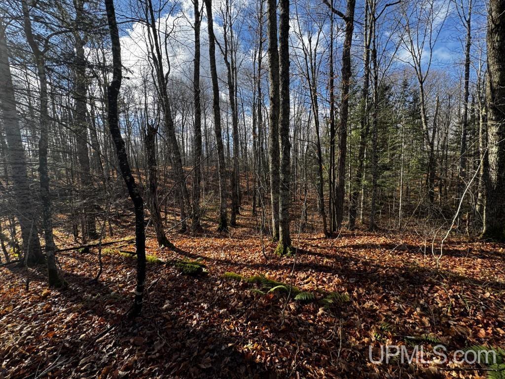 Tbd Tbd Herman Nestoria Road Lanse, MI 49946 - Photo 6 of 25