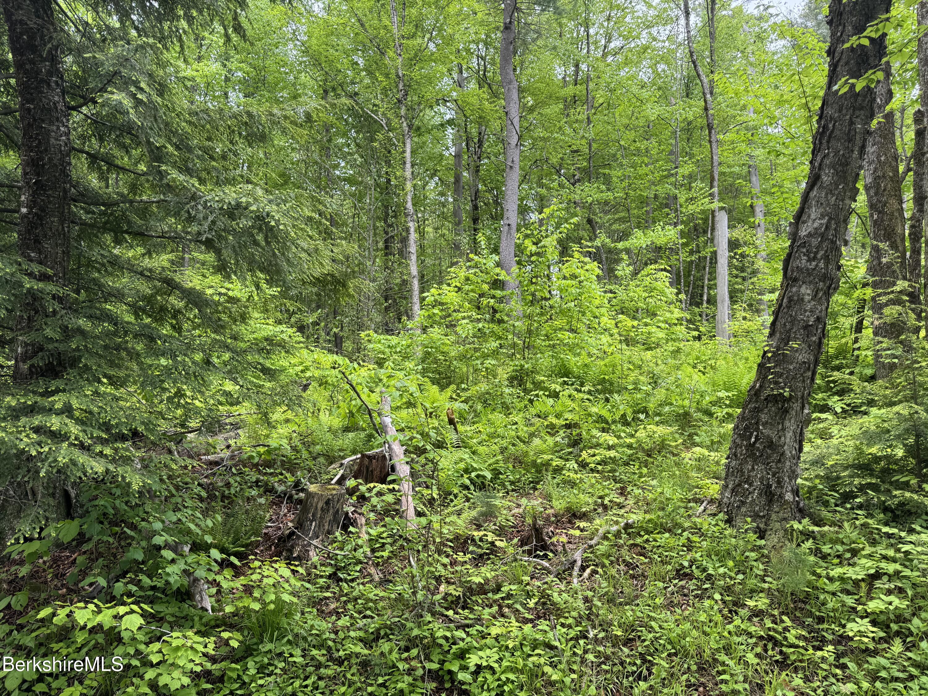 Lot ''b'' Beulah Land Road Blandford, MA 01008 - Photo 5 of 18 IMG_4577