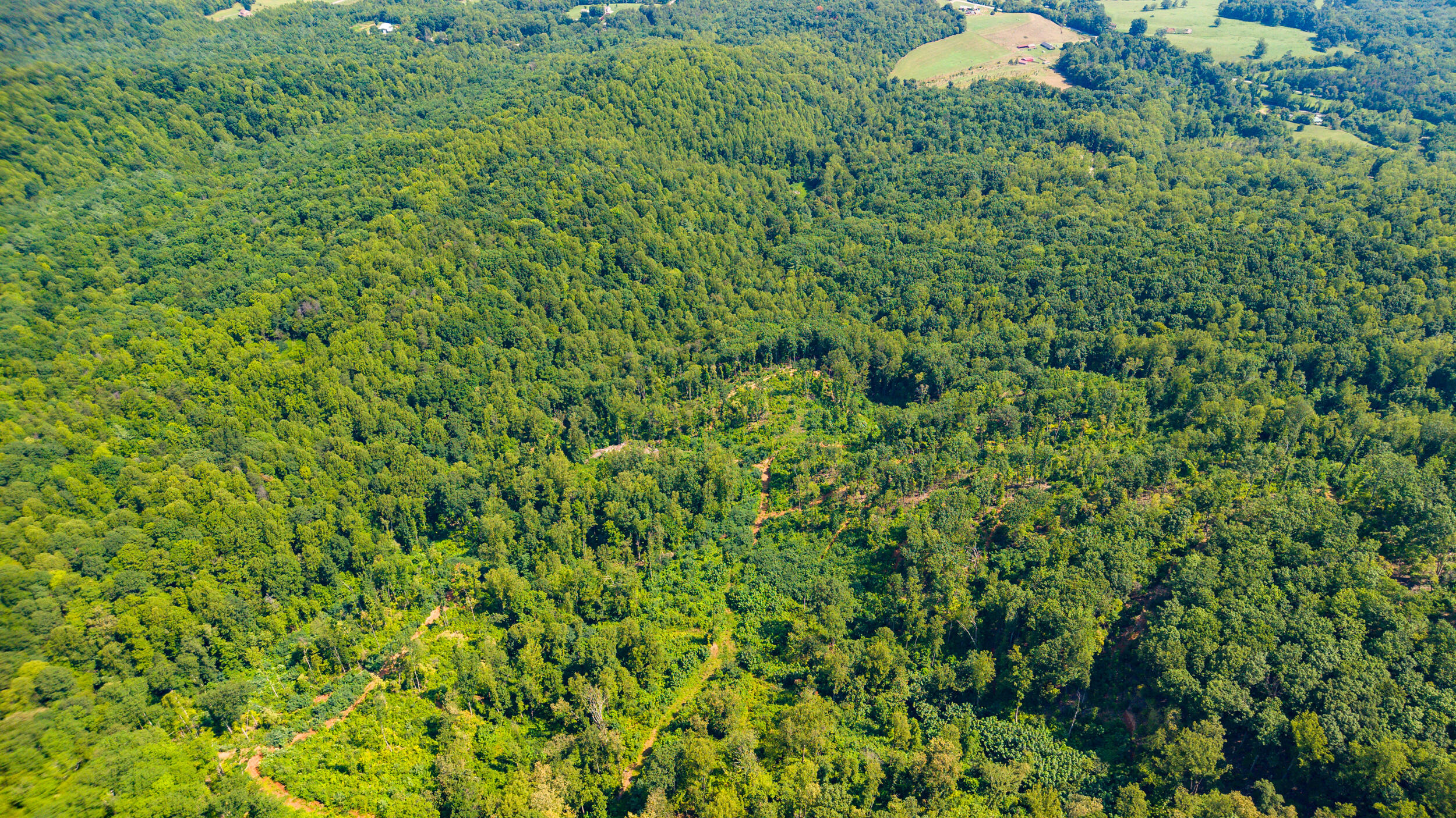 0 Adventure Mountain Road Montvale, VA 24122 - Photo 24 of 52 24_adventure_mountain_rd-11