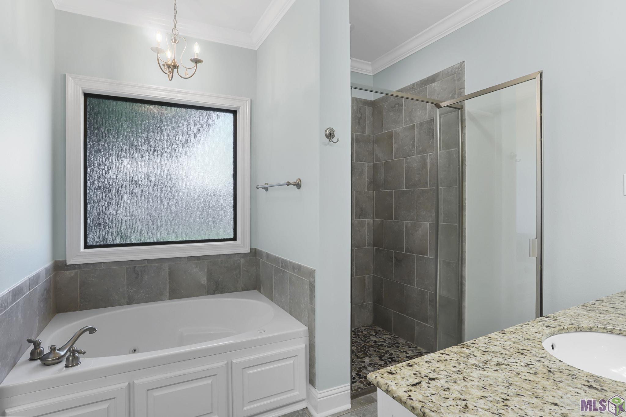 16431 Pascal Drive Prairieville, LA 70769 - Photo 13 of 15