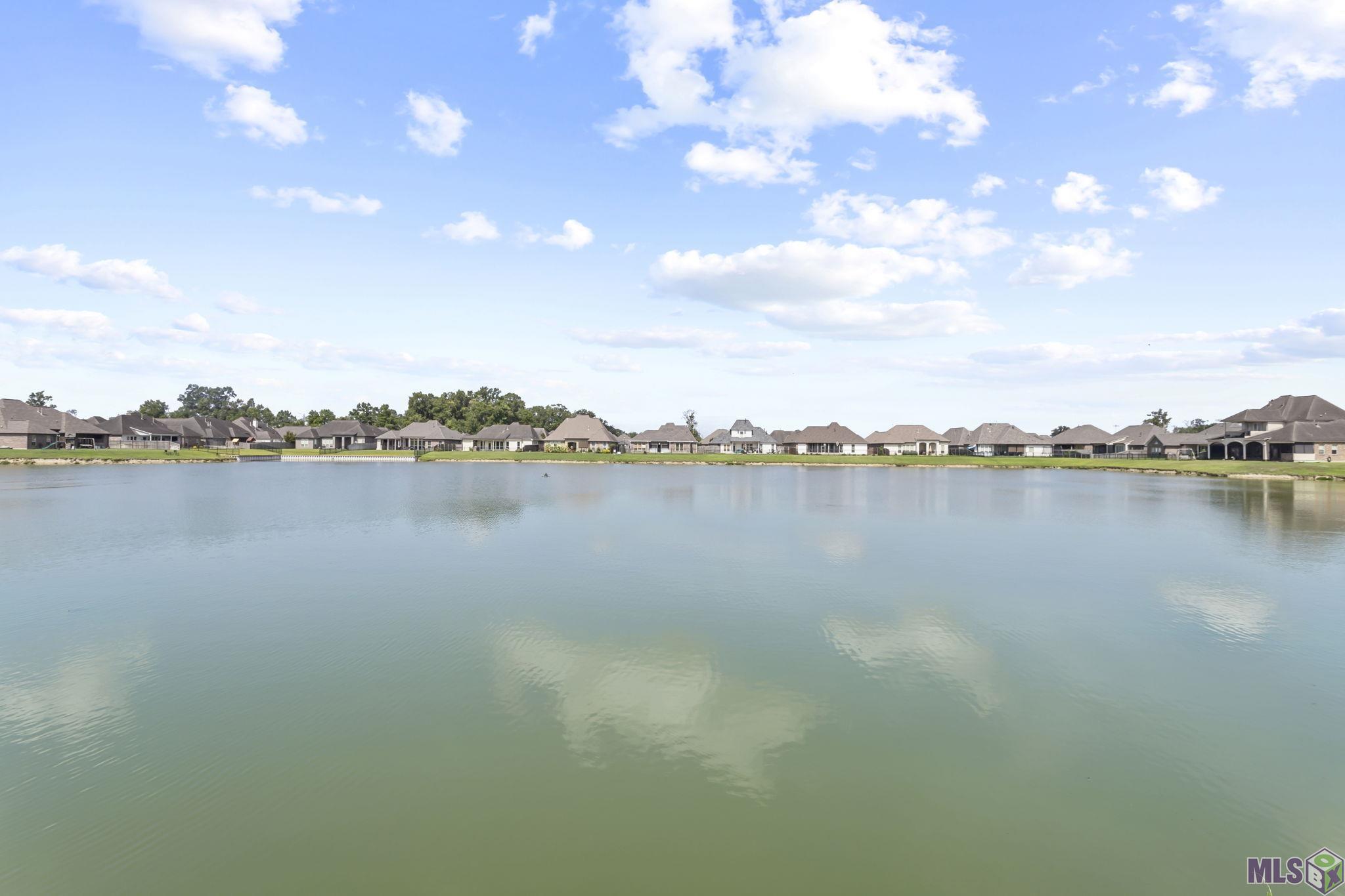 16431 Pascal Drive Prairieville, LA 70769 - Photo 4 of 15