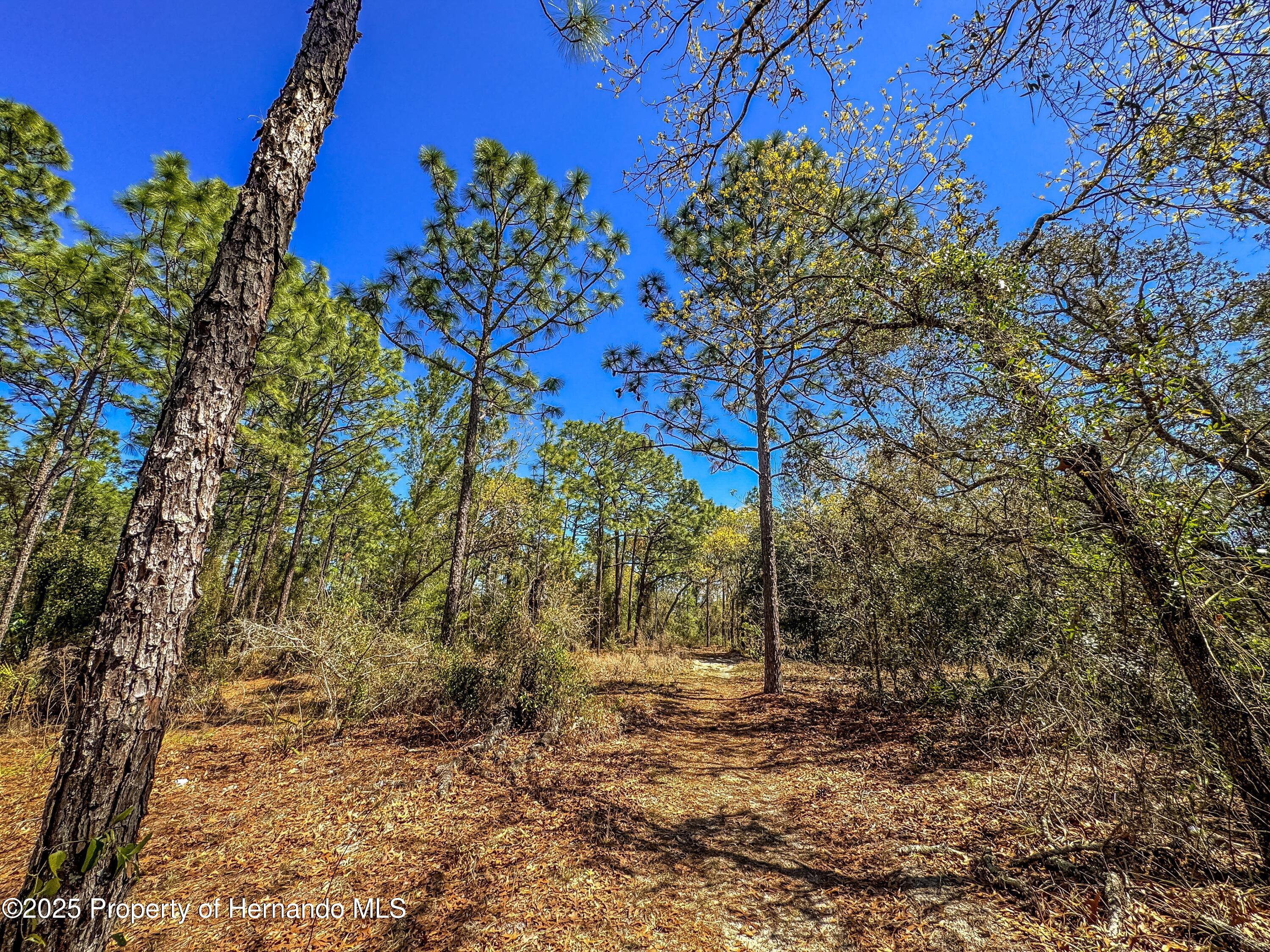 0 Sheffield Road Spring Hill, FL 34608 - Photo 15 of 26
