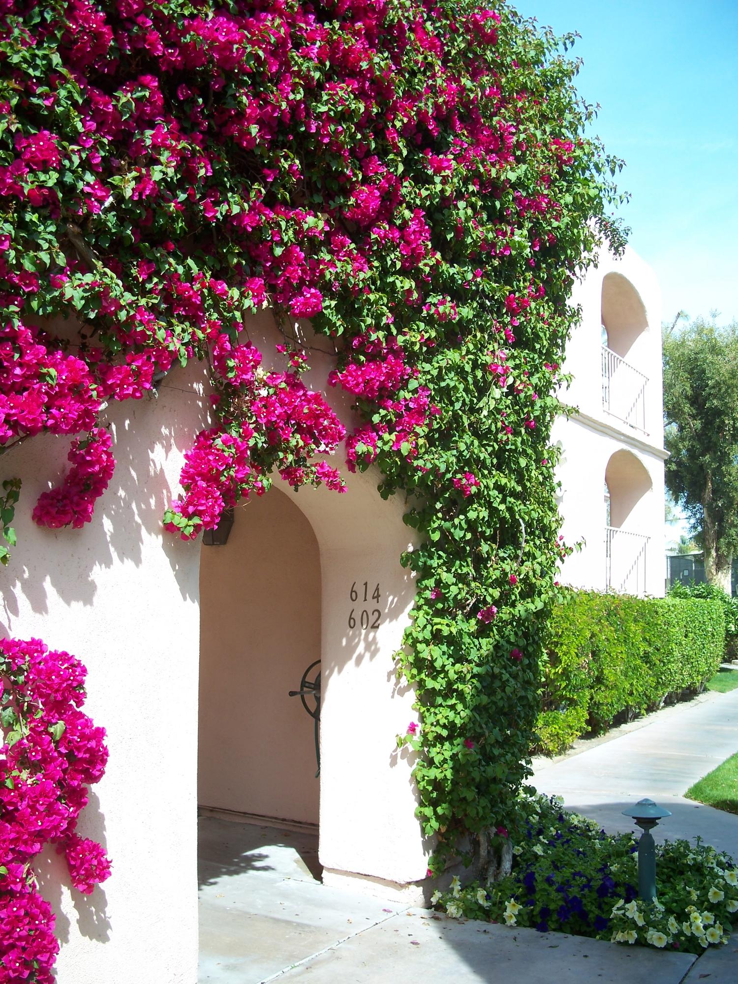 500 East Amado Road, Unit 602 Palm Springs, CA 92262 - Photo 4 of 61 4