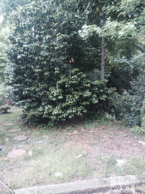 103 West Kilarny Road Wilmington, NC 28409 - Photo 27 of 27 Additional Photo