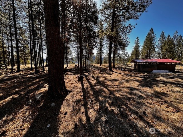 275 Marlys Road Tonasket, WA 98855 - Photo 11 of 20 Gallery Image 11
