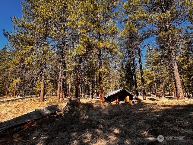 275 Marlys Road Tonasket, WA 98855 - Photo 3 of 20 Gallery Image 3