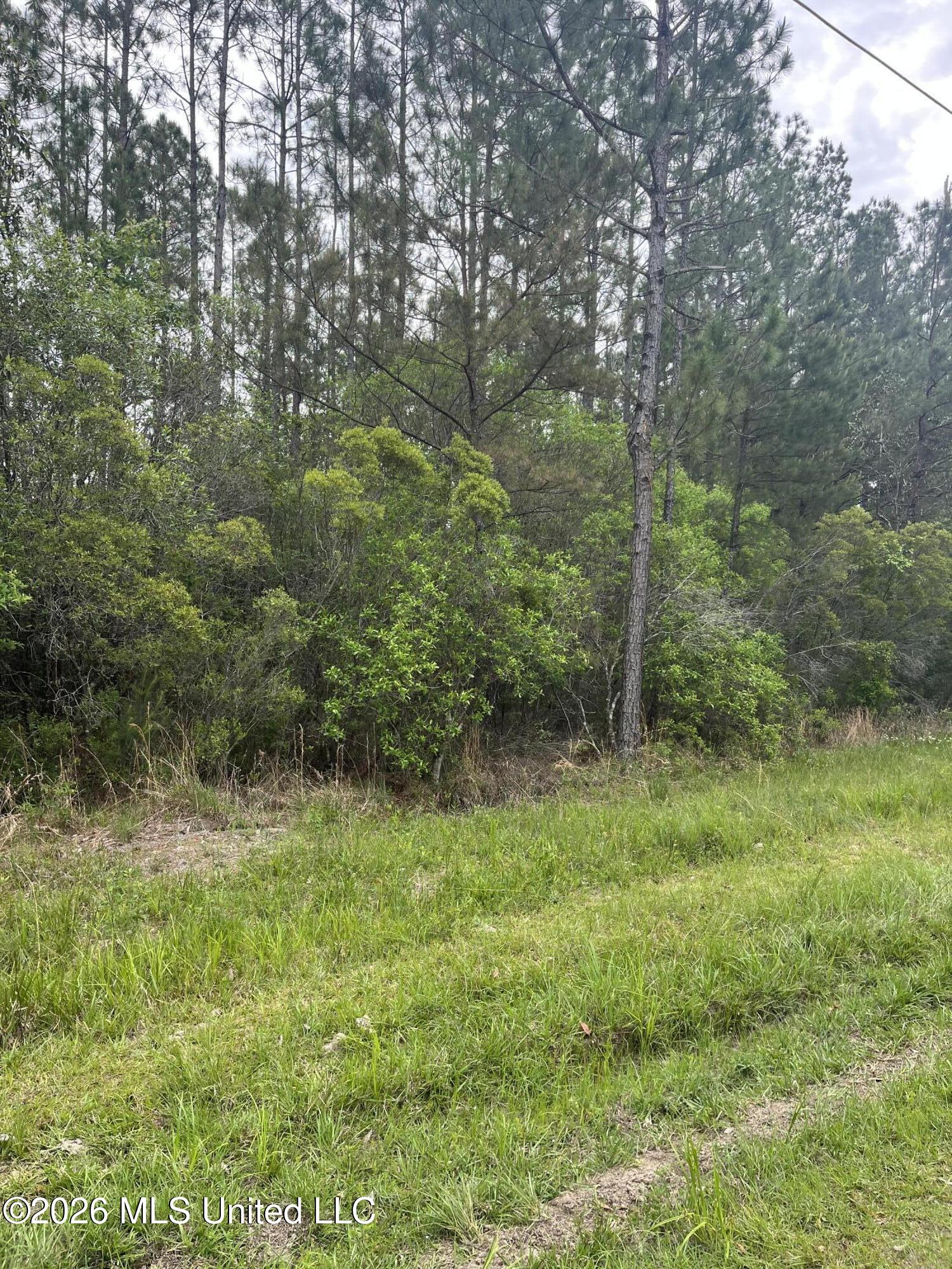 Lot 2 Leetown Road Picayune, MS 39466 - Photo 1 of 2 IMG_2971