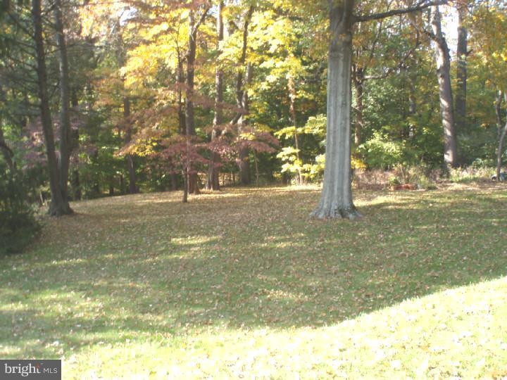 342 Mt Alverno Road Media, PA 19063 - Photo 3 of 3 Exterior Back