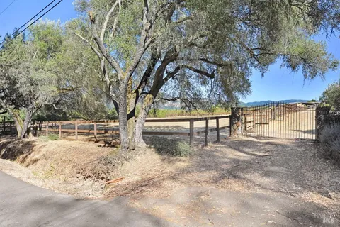 a view of backyard with large trees