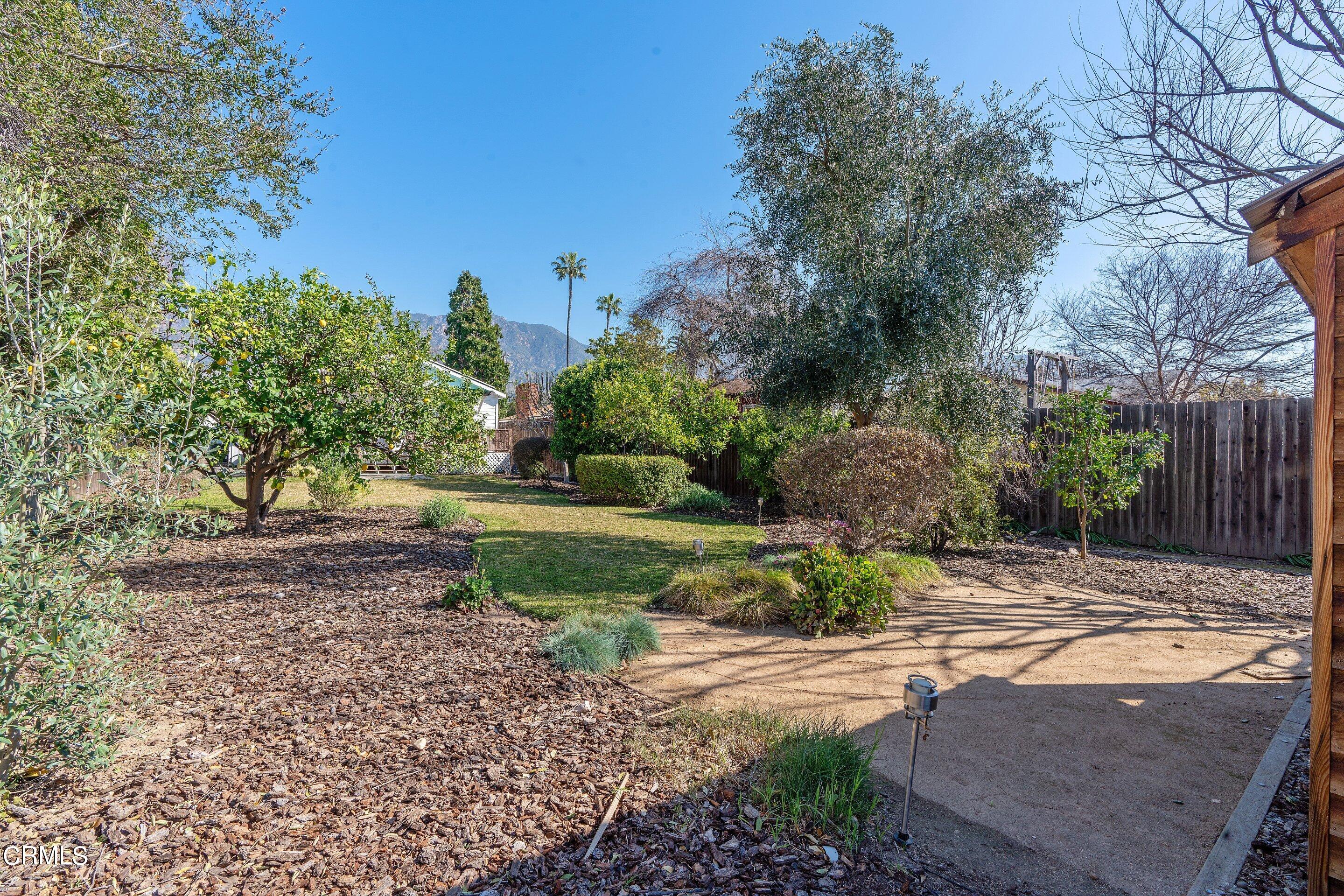 1532 Atchison Street Pasadena, CA 91104 - Photo 37 of 45 a view of a yard with plants and trees