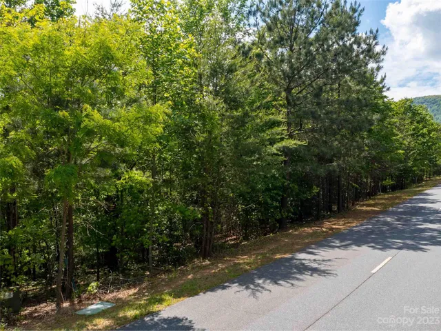 $120,250 | Lot 2009 Deep Gap Farm Rd Mill Spring West, Mill Spring, NC 28756