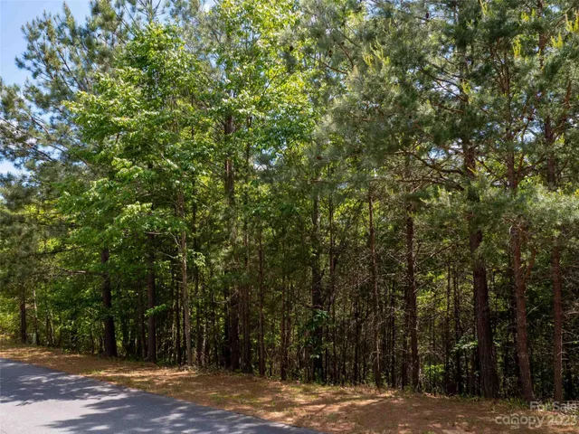 $120,250 | Lot 2009 Deep Gap Farm Rd Mill Spring West, Mill Spring, NC 28756