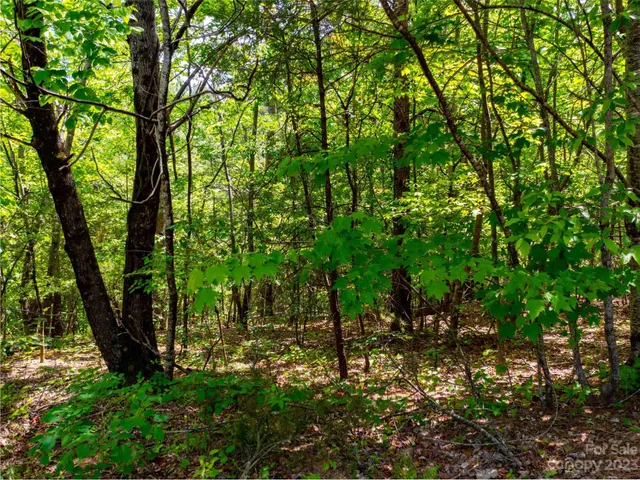 $120,250 | Lot 2009 Deep Gap Farm Rd Mill Spring West, Mill Spring, NC 28756