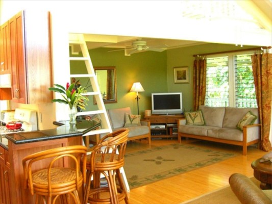 7267 Alamoo Road Hanalei, HI 96714 - Photo 8 of 15 a living room with furniture and a flat screen tv