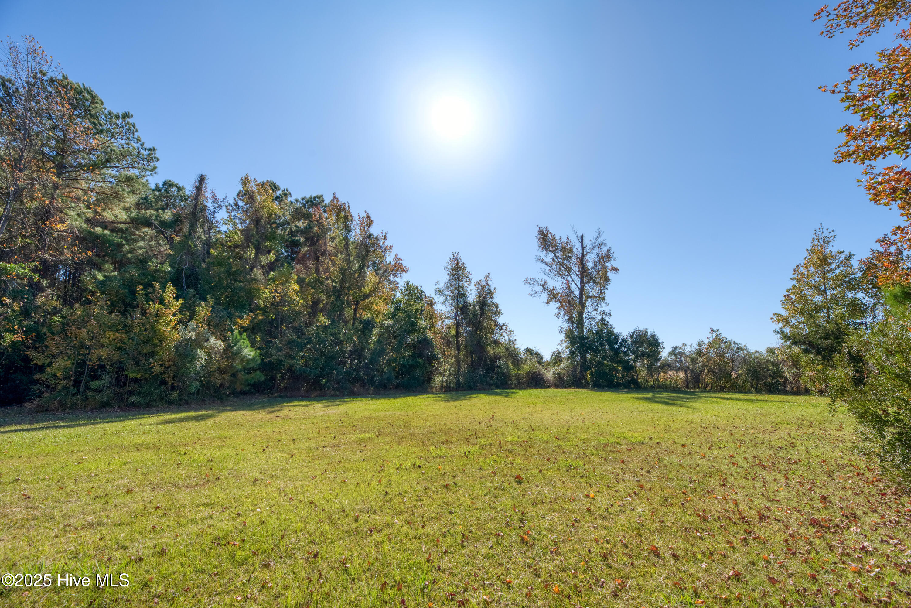 140 Major Island Road Maple, NC 27956 - Photo 14 of 16 Empty lot (2)