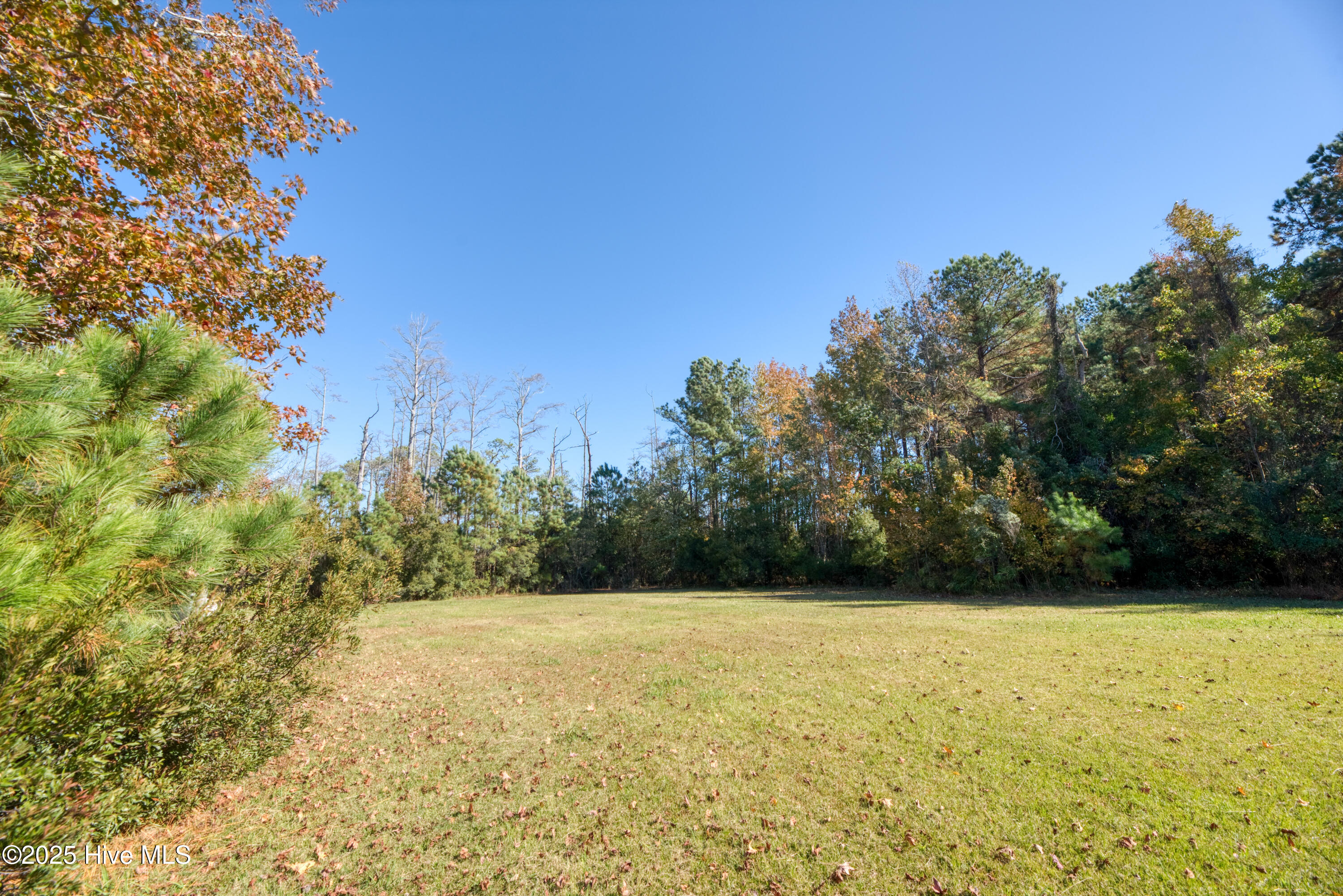 140 Major Island Road Maple, NC 27956 - Photo 15 of 16 Empty lot (3)
