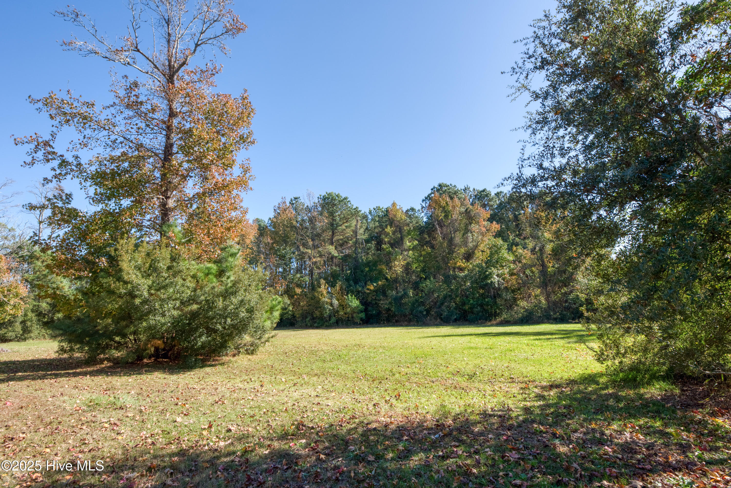140 Major Island Road Maple, NC 27956 - Photo 16 of 16 Empty lot