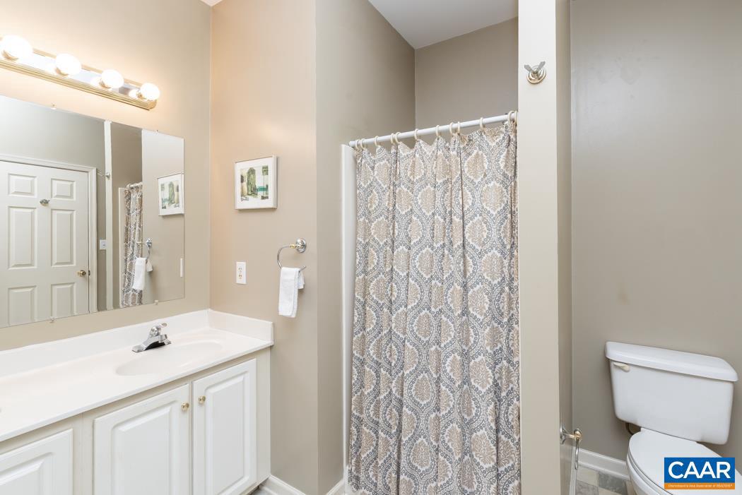 65 Deerview Road Keswick, VA 22947 - Photo 33 of 38