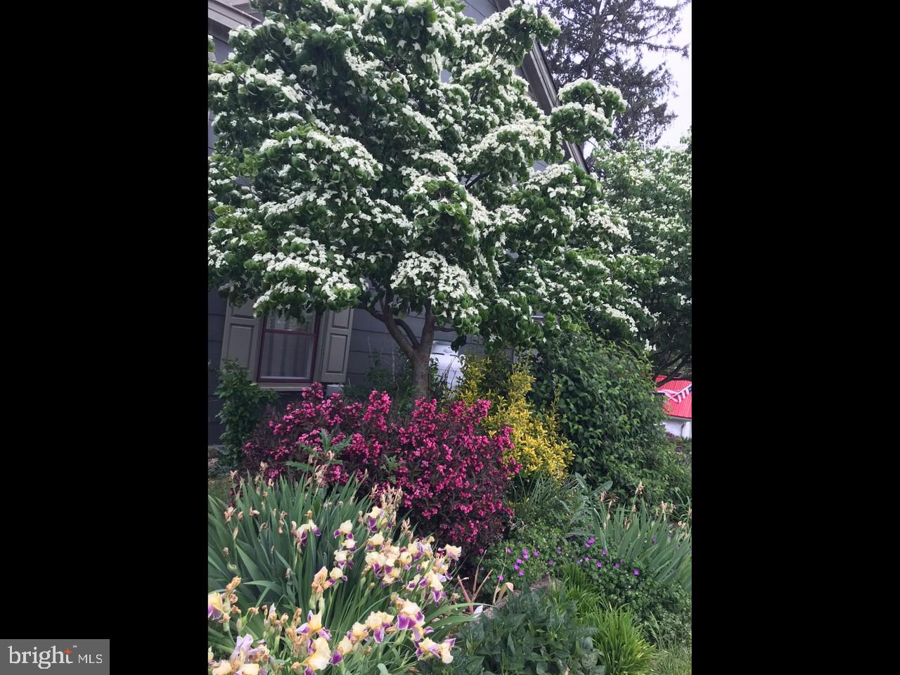 44 Frogtown Road Paradise, PA 17562 - Photo 21 of 86