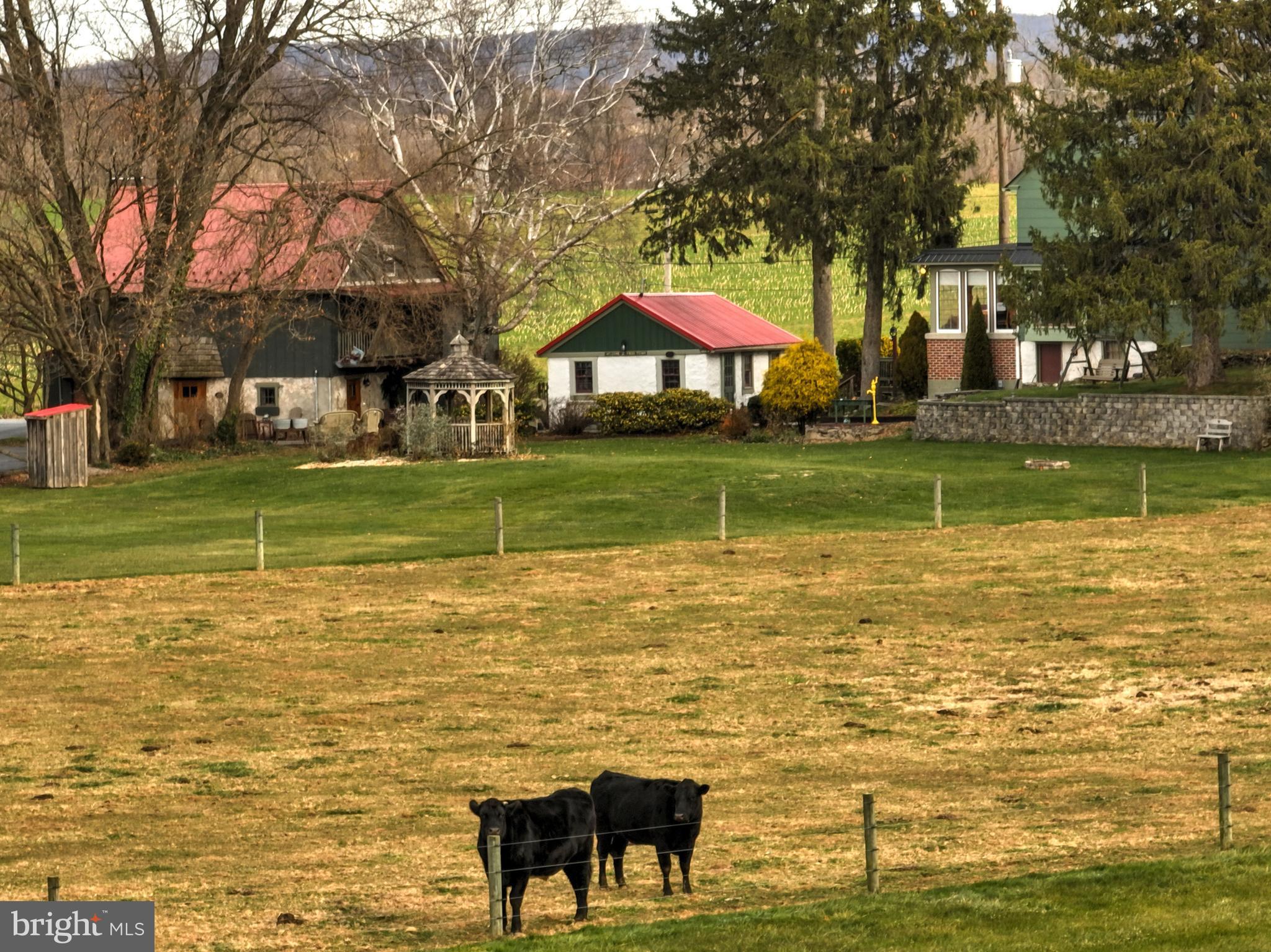 44 Frogtown Road Paradise, PA 17562 - Photo 28 of 86