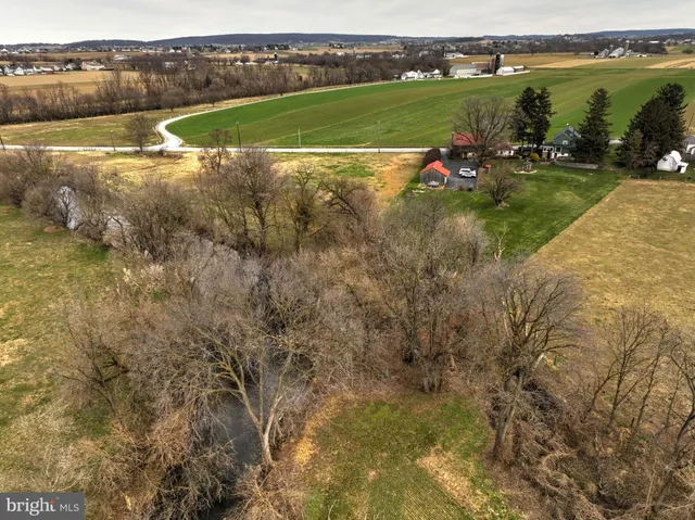 a view of backyard with a small cabin